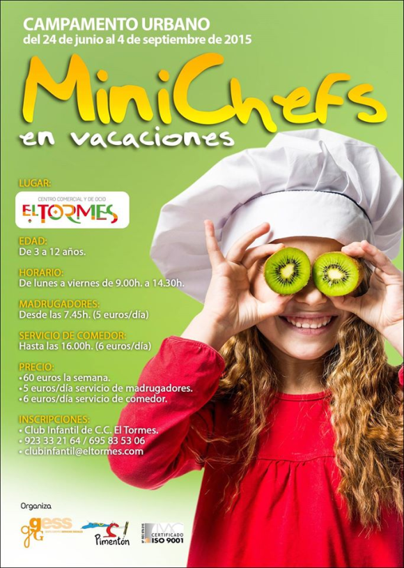 Minichefs en Vacaciones 2015 - Cartel